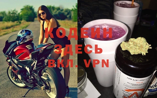 прущие грибы Белоозёрский