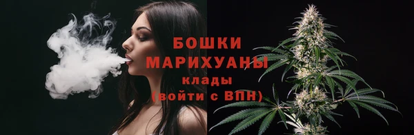 apvp Белокуриха