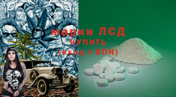 apvp Белокуриха