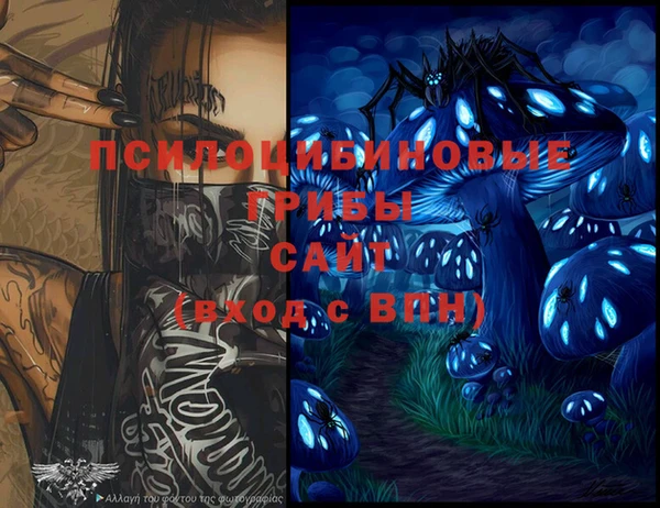 прущие грибы Белоозёрский