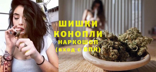 прущие грибы Белоозёрский
