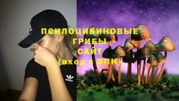 дживик Беломорск