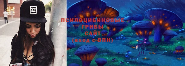 apvp Белокуриха
